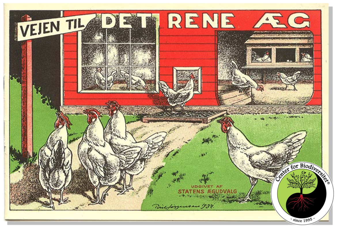 tang og tare
              1944