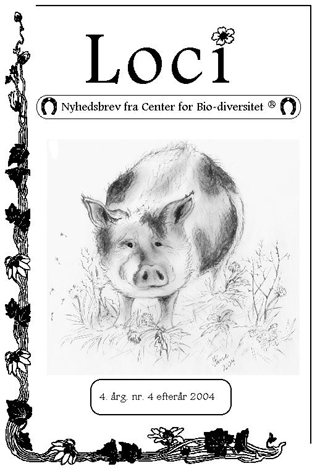 Tema:
                  bevaringsv�rdige svineracer